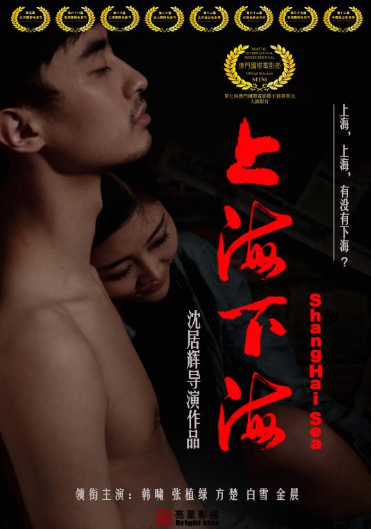 上海下海（沈居辉导演电影）