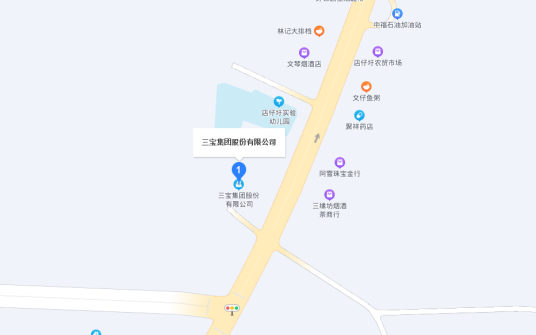 三宝集团股份有限公司