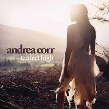 Shame On You（Andrea Corr演唱的歌曲）