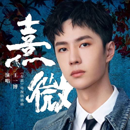 熹微（2020年王一博演唱的歌曲）