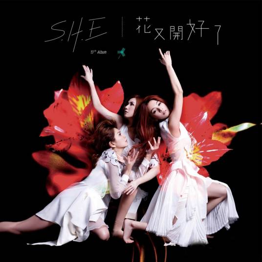 明天的自己（S.H.E演唱的歌曲）