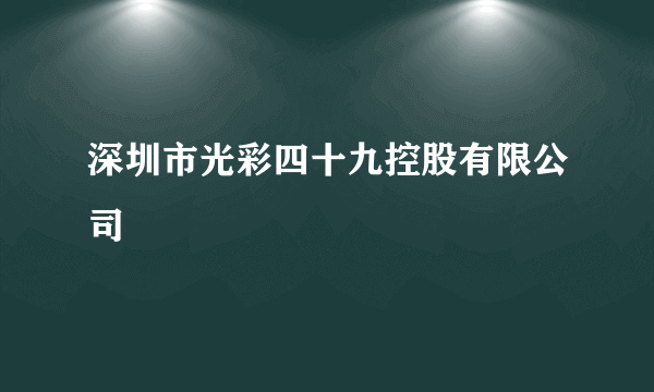 深圳市光彩四十九控股有限公司