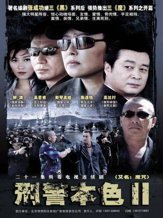 刑警本色2（2007年刘光执导的电视剧）