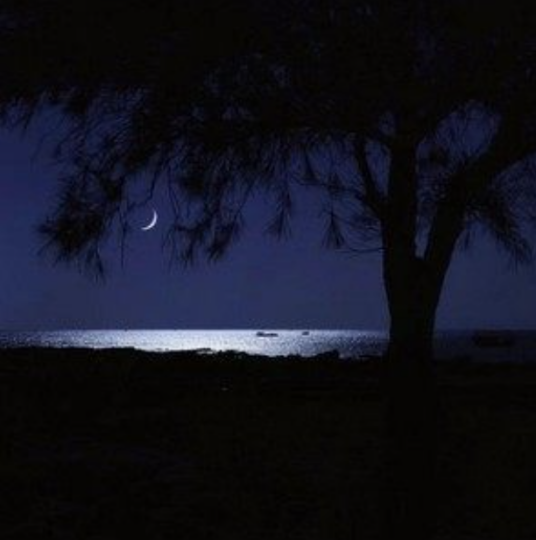 你走后这天还那么蓝（1个球演唱的歌曲）