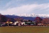 莱文（新西兰地名）