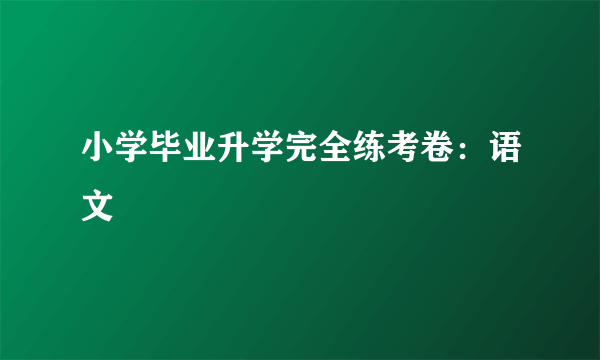 小学毕业升学完全练考卷：语文