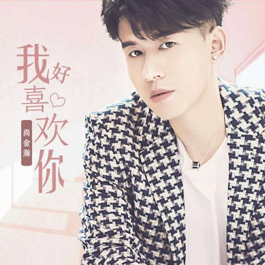 我好喜欢你（尚金瀚演唱歌曲）