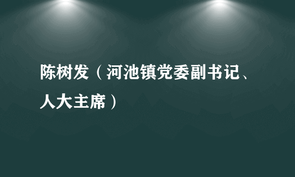 陈树发（河池镇党委副书记、人大主席）