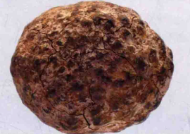 蛇含石（中药）