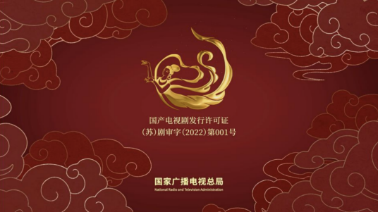 国产电视剧发行许可证