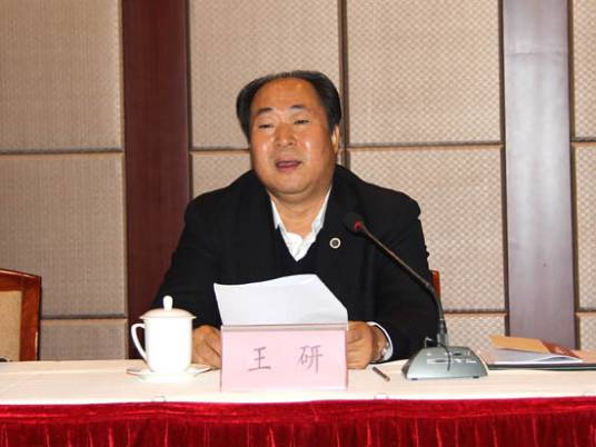 王研（中国地质调查局原副局长）