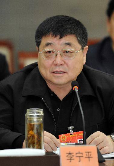 李宁平（甘肃省电力投资集团有限责任公司原党委书记）