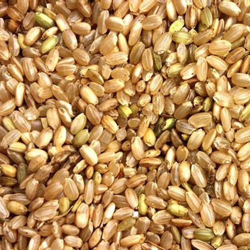 五谷杂粮膨化粉