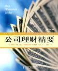 公司理财精要（2006年人民邮电出版社出版的图书）