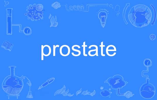 prostate