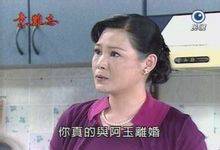 杨淑珍（电视剧《意难忘》中的人物）