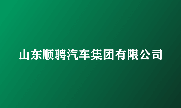 山东顺骋汽车集团有限公司