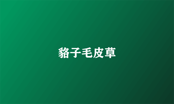 貉子毛皮草