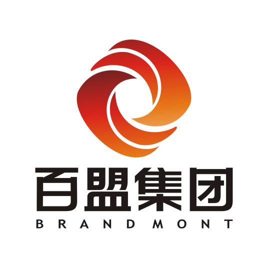 湖北百盟投资集团有限公司