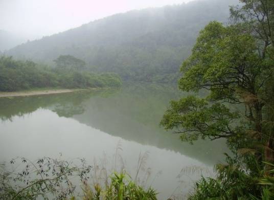 滨江(珠江水系干流北江的支流)