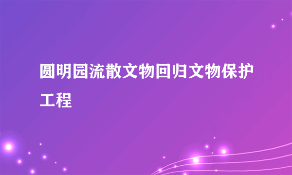 圆明园流散文物回归文物保护工程