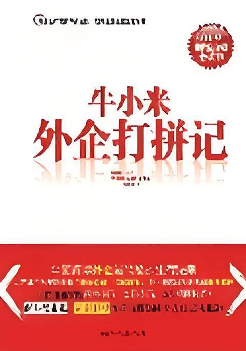 牛小米外企打拼记：从江湖滥仔到高级白领