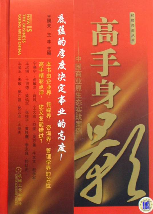 高手身影：中国商业原生态实战案例