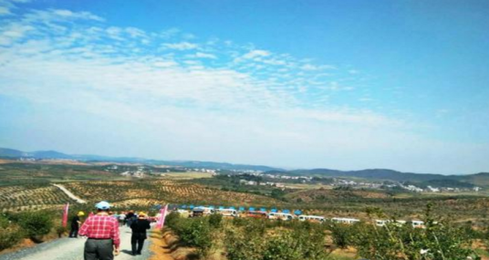 平安村（湖南省常宁市西岭镇平安村）