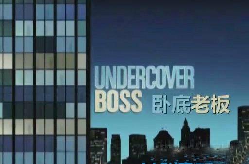 卧底老板（美国2010年播出的真人秀）