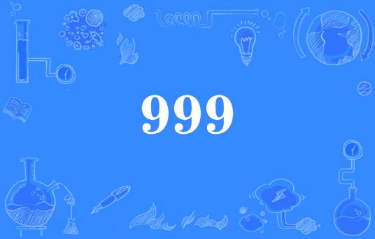 999（网络流行词）