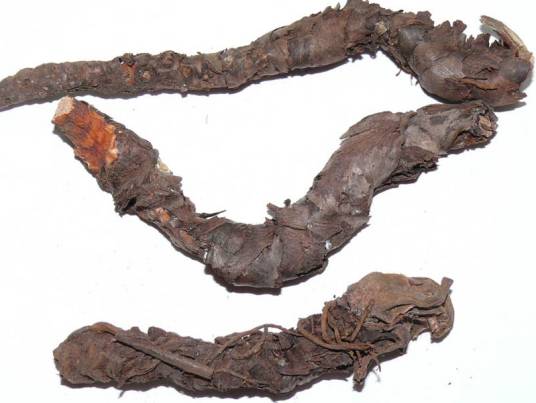 盘龙七（葫芦科雪胆属植物）