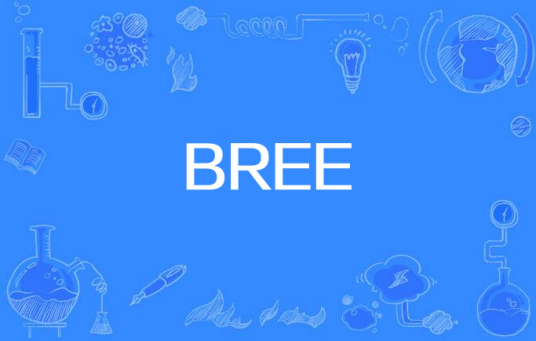 BREE（英文词汇）