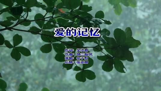 爱的记忆（吴洪霞作词的歌曲）