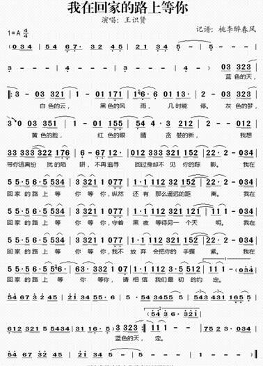 我在回家的路上等你（2009年王识贤演唱的歌曲）